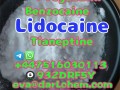 Lidocaine Tianeptine pregabalin raw Powder 137-58-6 High Quality