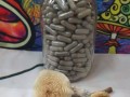 Magic Mushrooms, Ketamine, DMT , LSD , Psilocybin Edibles Online.100% guaranteed delivery