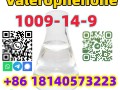 Manufacturer Valerophenone Cas 1009-14-9 good quality safety shipping