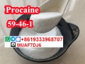 Novacaine Procaine Base CAS59-46-1