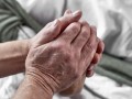 Pentobarbital Schweiz Info Schmerzloser Tod Sterbehilfe Medikament (nembutal) Kontakt Threema-ID: K98JC7U8