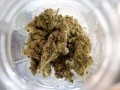 Powerful Weed/Cannabis