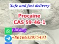 Procaine CAS 59-46-1 Factory Suppliers+8616632975431