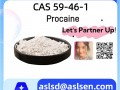 Procaine CAS Number: 59-46-1
