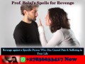 Revenge Spells to Target and Ruin an Individual’s Life Successfully +27836633417