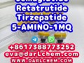 Semaglutide 5-AMINO-1MQ Retatrutide 910463-68-2 Raw Powder
