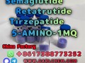 Semaglutide 5-AMINO-1MQ Retatrutide 910463-68-2 Top Quality