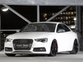 Senner пипна Audi S5