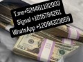Telegram +524461192003 Compra de pasaportes reales y falsos online en España