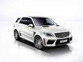 TopCar с бодикит за ML63 AMG