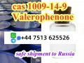 Valerophenone with 99% Purity CAS 1009-14-9 door to door safe ship