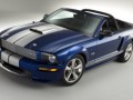 Открит Ford Shelby GT за лятото